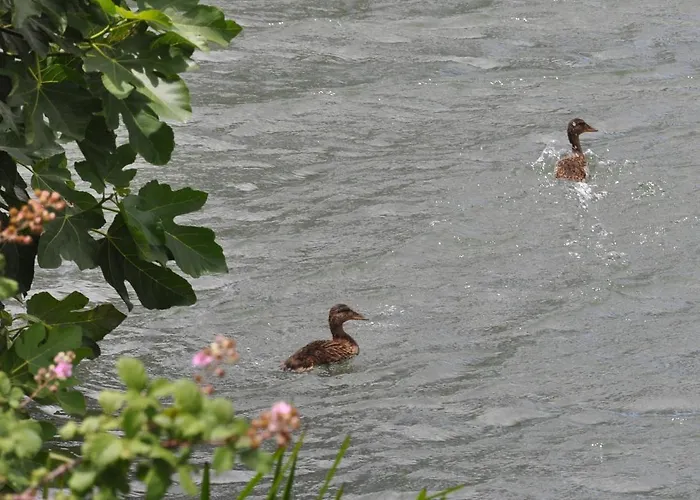 Carrecalzada 호텔 Melgar de Fernamental